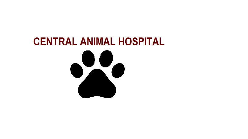Central Animal Hospital logo