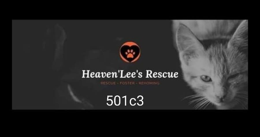 Heavenlee's Rescue logo