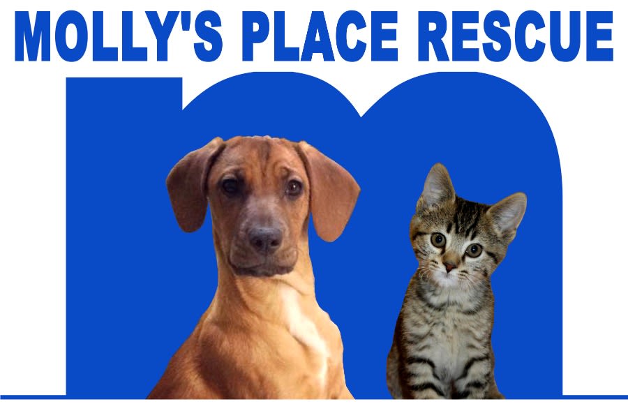 Molly's Place Rescue logo