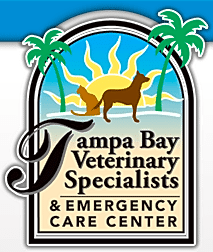 Tampa Bay Veterinary Specialists & Emergency Care Center logo