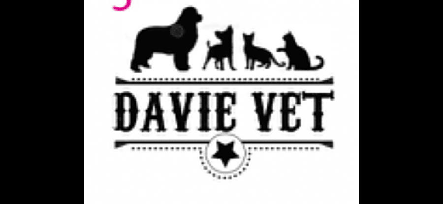 Davie Veterinary Clinic logo