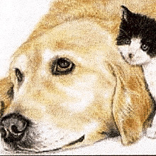 Frankfort Animal Clinic logo