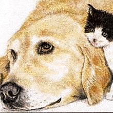 Frankfort Animal Clinic logo