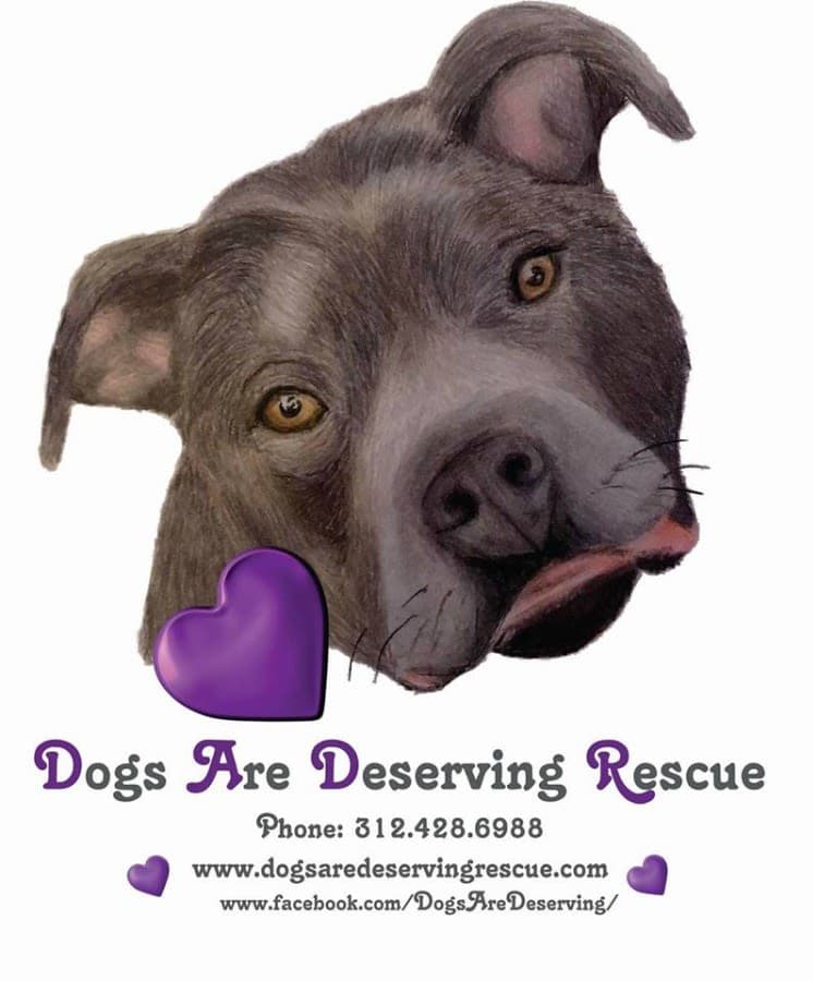 Dogs are Deserving Rescue, Inc logo
