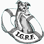 Italian Greyhound Rescue Foundation logo