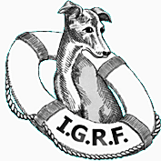 Italian Greyhound Rescue Foundation logo