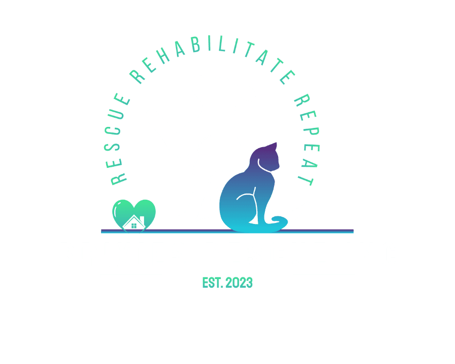 Brixies Rescue Inc logo