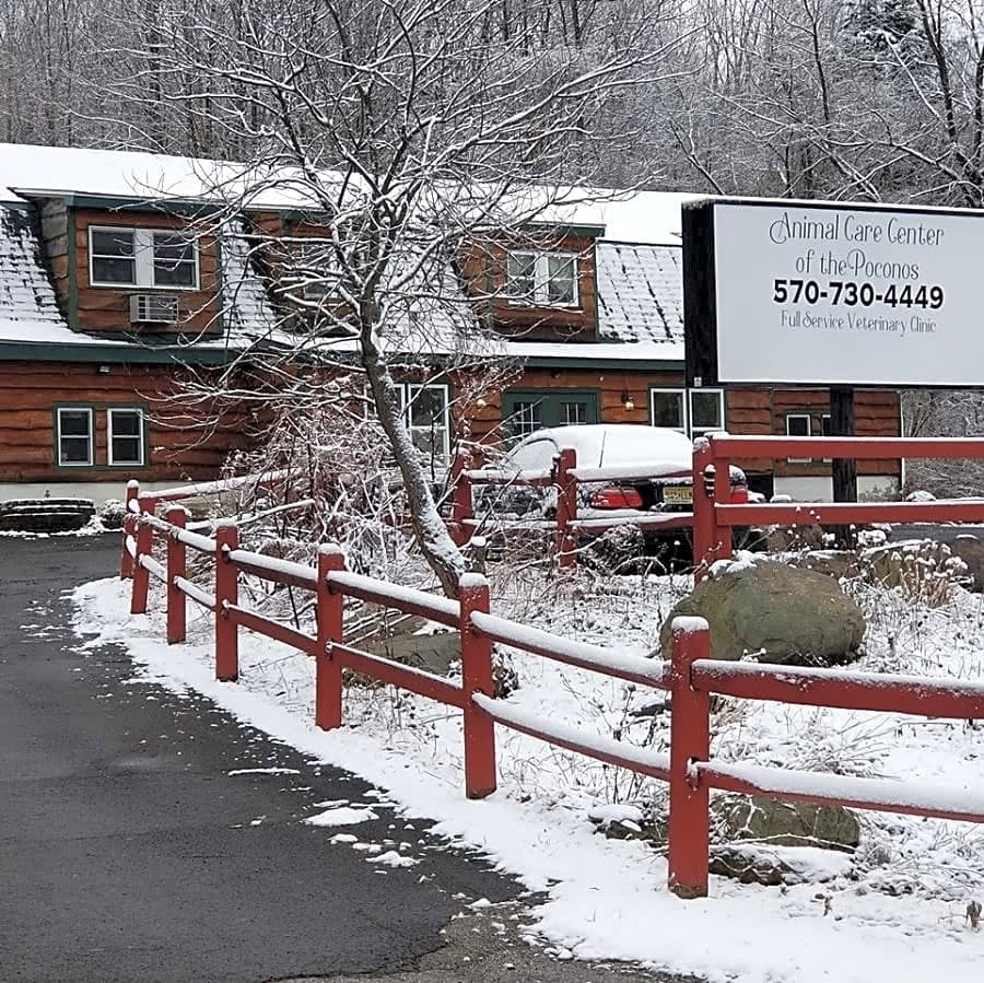 Animal Care Center of the Poconos logo