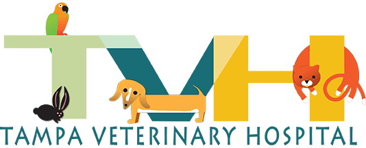 Tampa Veterinary Hospital logo