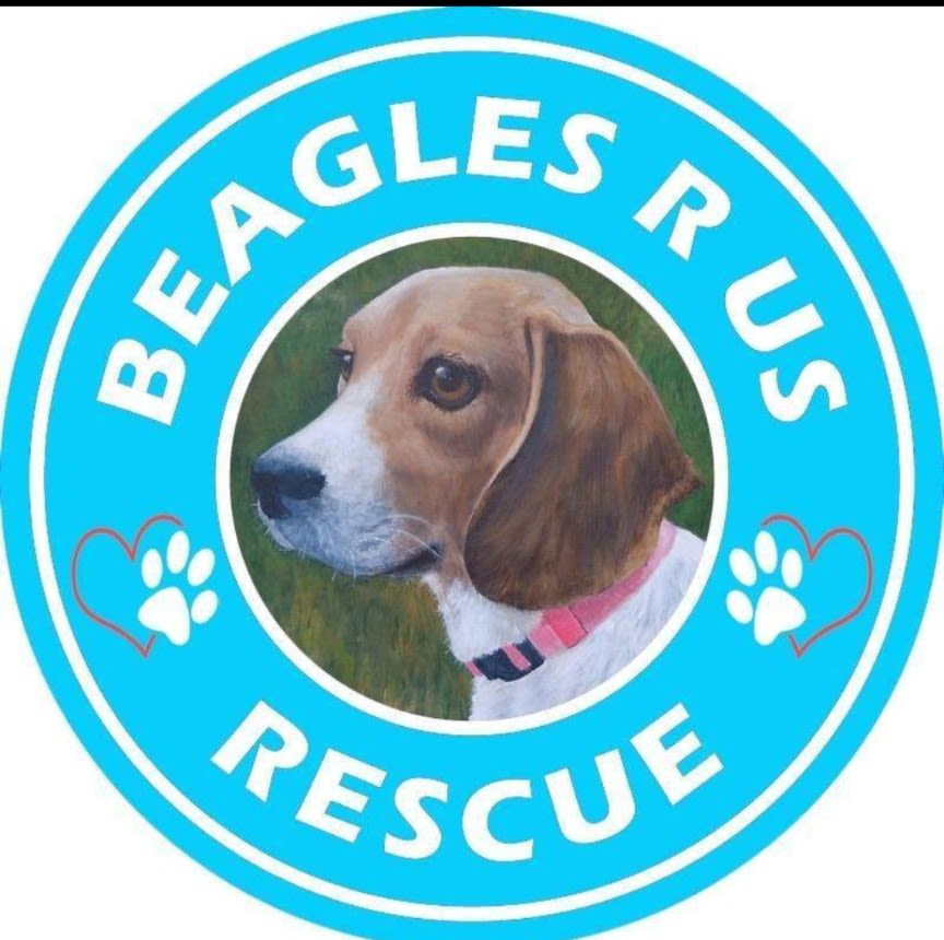 Beagles R Us Rescue logo