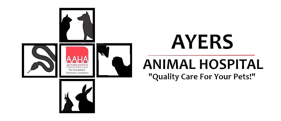 Ayers Animal Hospital logo
