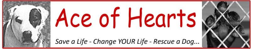 Ace of Hearts Dog Rescue logo
