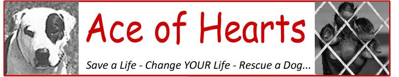 Ace of Hearts Dog Rescue logo