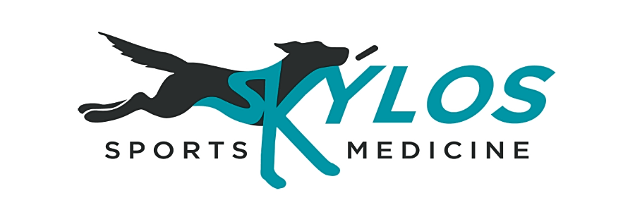 Skylos Sports Medicine logo