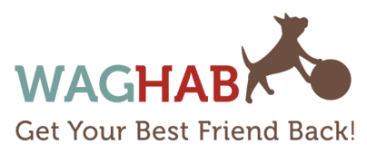 WagHab: Asheville Dog Exercise and Aquatic Gym logo