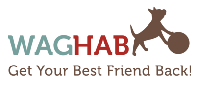 WagHab: Asheville Dog Exercise and Aquatic Gym logo