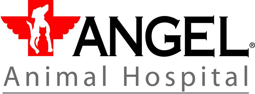 Angel Animal Hospital logo