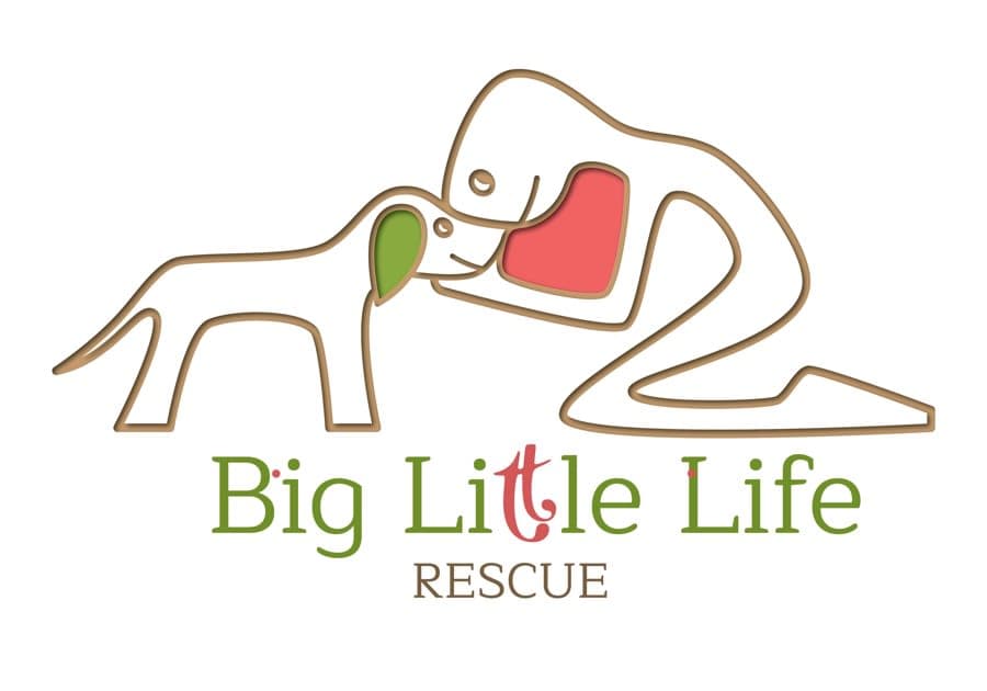 Big Little Life Animal Rescue International logo