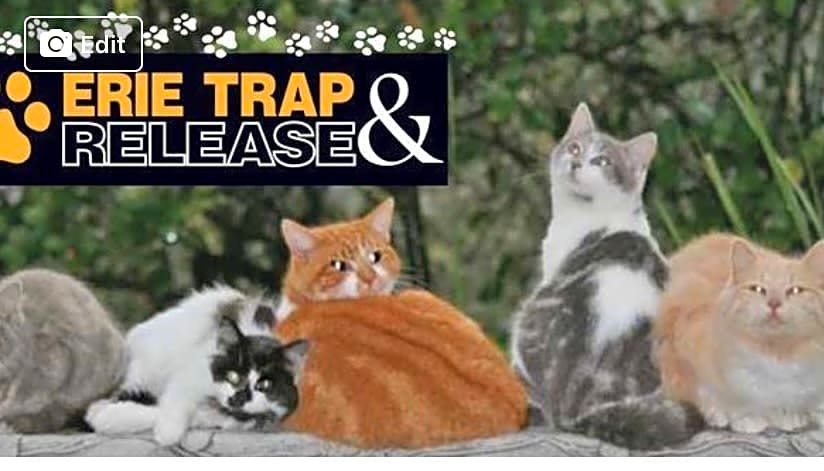 Erie trap and release logo
