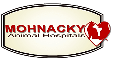 Mohnacky Animal Hospital logo