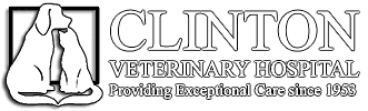 CLINTON VETERINARY HOSPITAL,INC logo