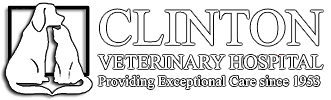 CLINTON VETERINARY HOSPITAL,INC logo
