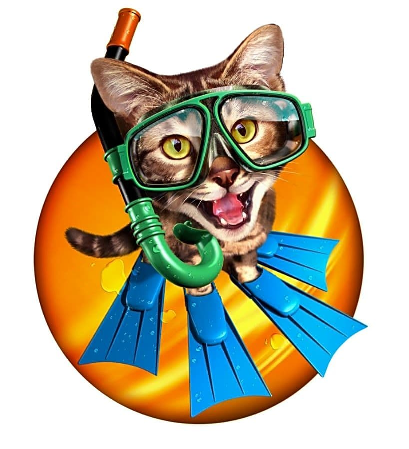 Buxmont Veterinary Hospital logo
