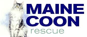 Maine Coon Rescue logo