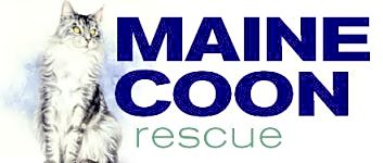 Maine Coon Rescue logo