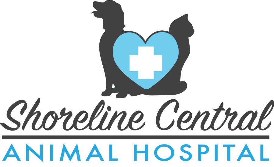 Shoreline Central Animal Hospital logo