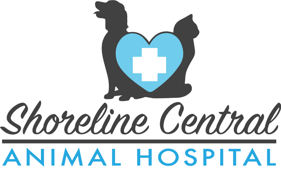 Shoreline Central Animal Hospital logo