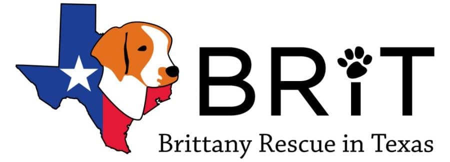 Brittany Rescue in Texas logo