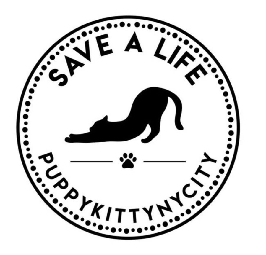 PuppyKittyNYCity logo