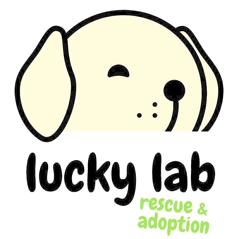 Lucky Lab Rescue & Adoption logo