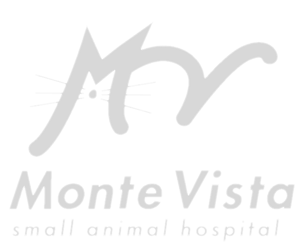Monte Vista Small Animal Hospital logo