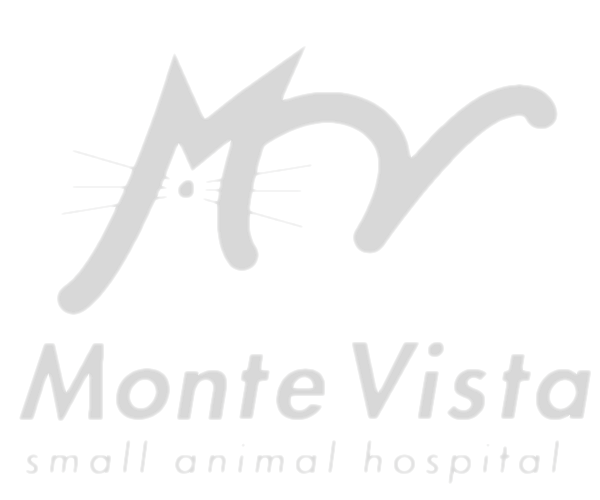 Monte Vista Small Animal Hospital logo