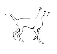 Noah's Ark Humane Society logo