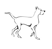 Noah's Ark Humane Society logo
