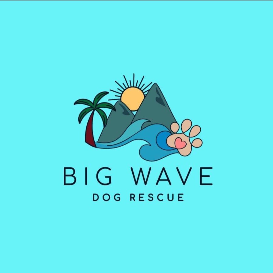 Big Wave Dog Rescue logo