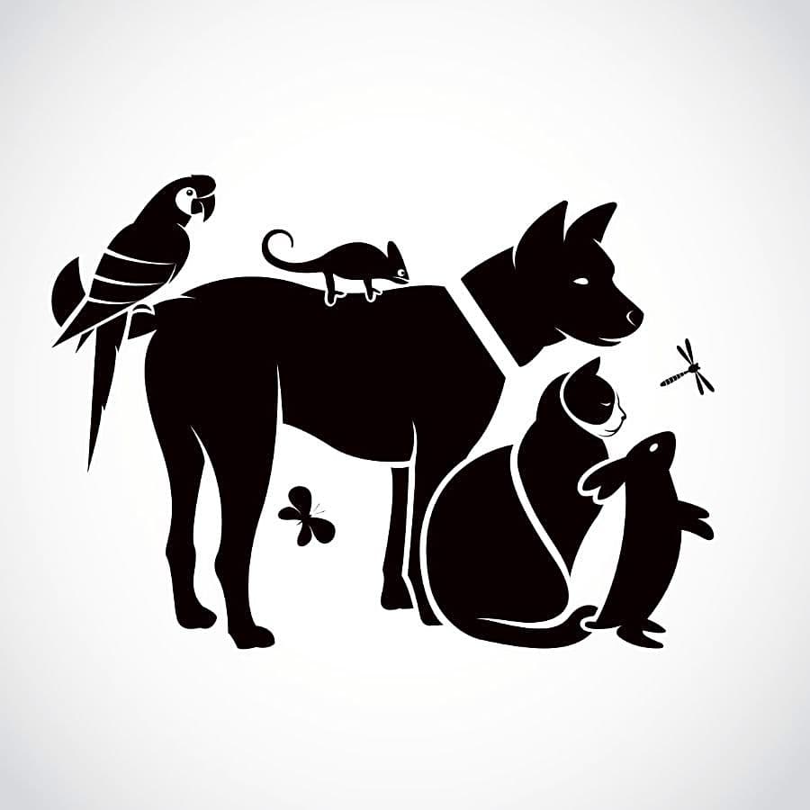 Cornerstone Animal Hospital logo
