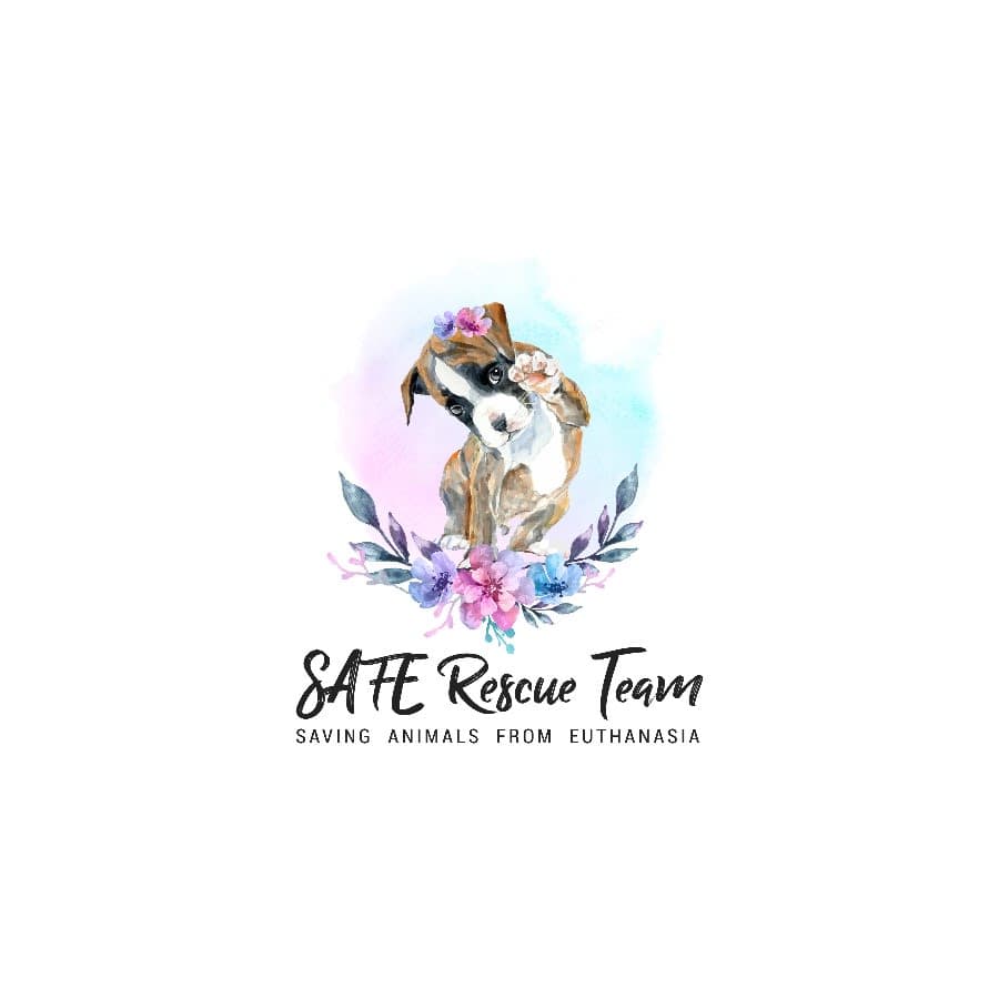 SAFE Rescue Team logo