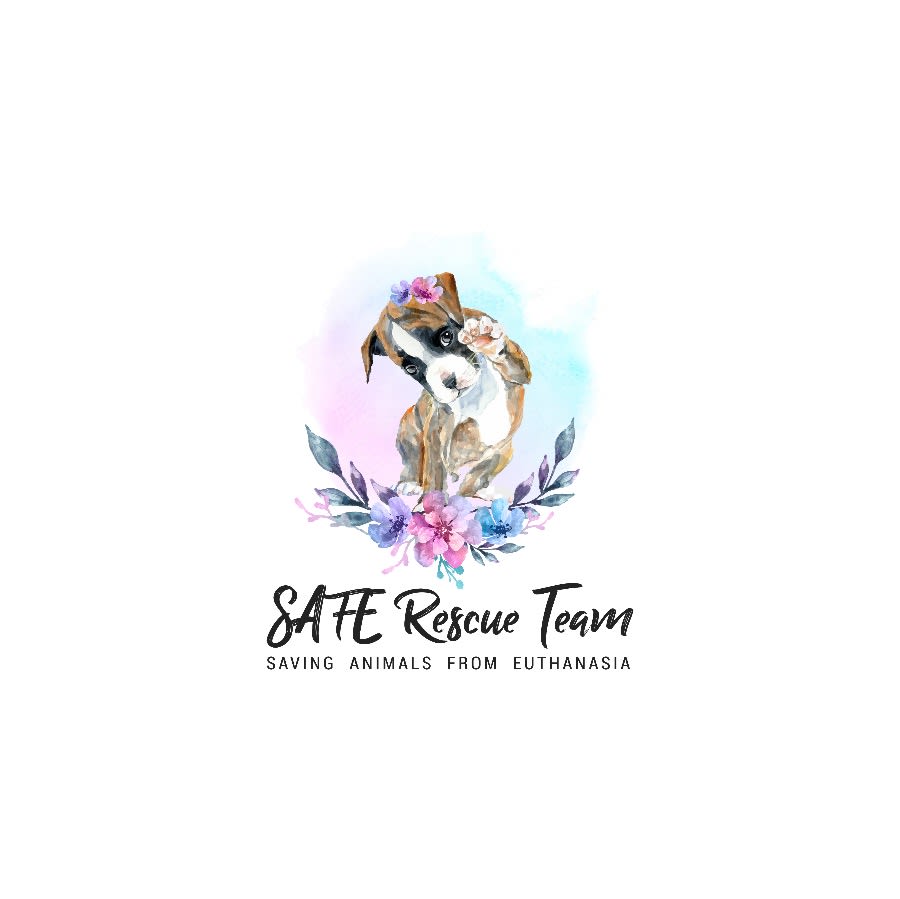SAFE Rescue Team logo
