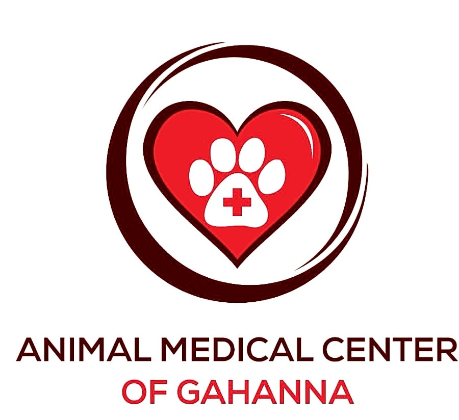 Animal Medical Center logo