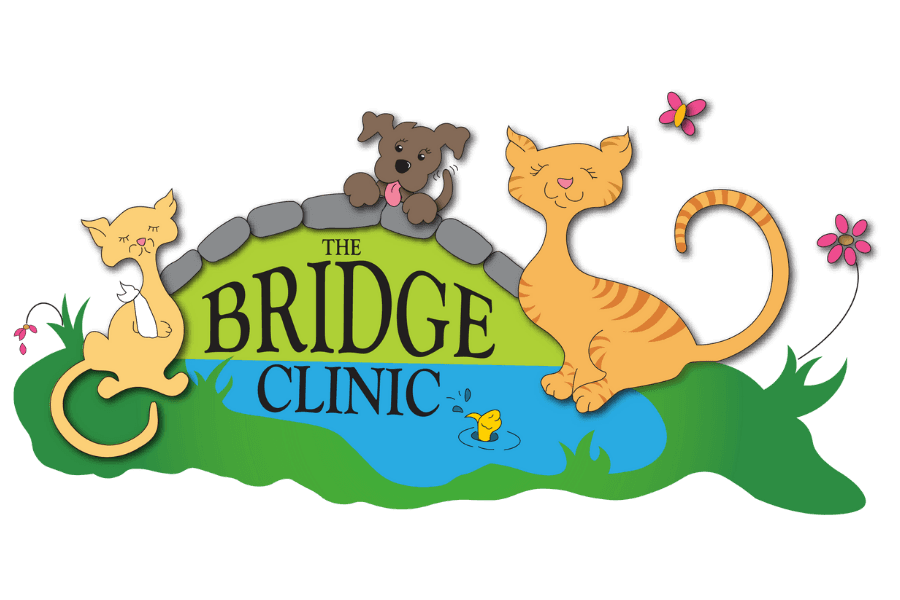 The Bridge Clinic logo