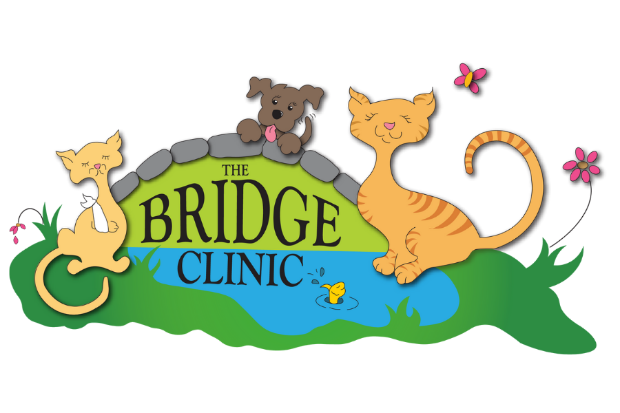 The Bridge Clinic logo