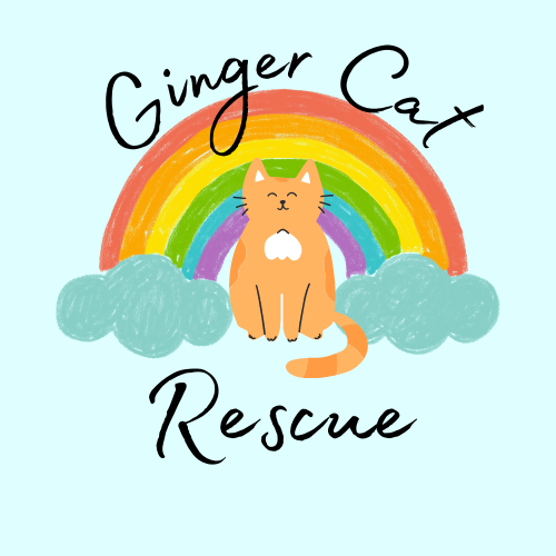Ginger Cat Rescue logo