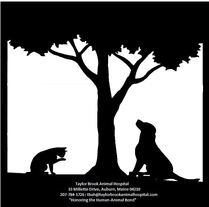 Taylor Brook Animal Hospital logo