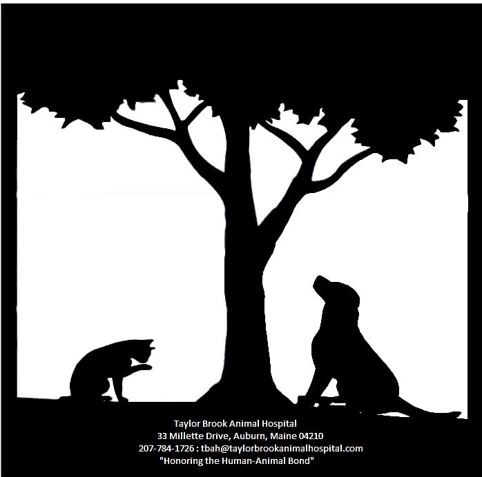 Taylor Brook Animal Hospital logo