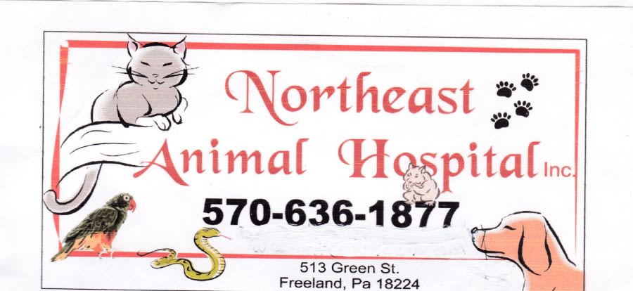 Northeast Animal Hospital logo