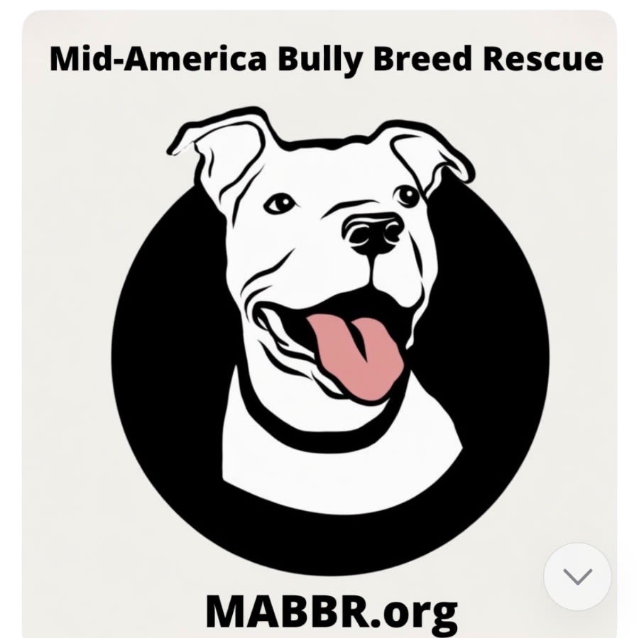 Mid-America Bully Breed Rescue logo